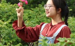 中国好声音总决赛现场直播